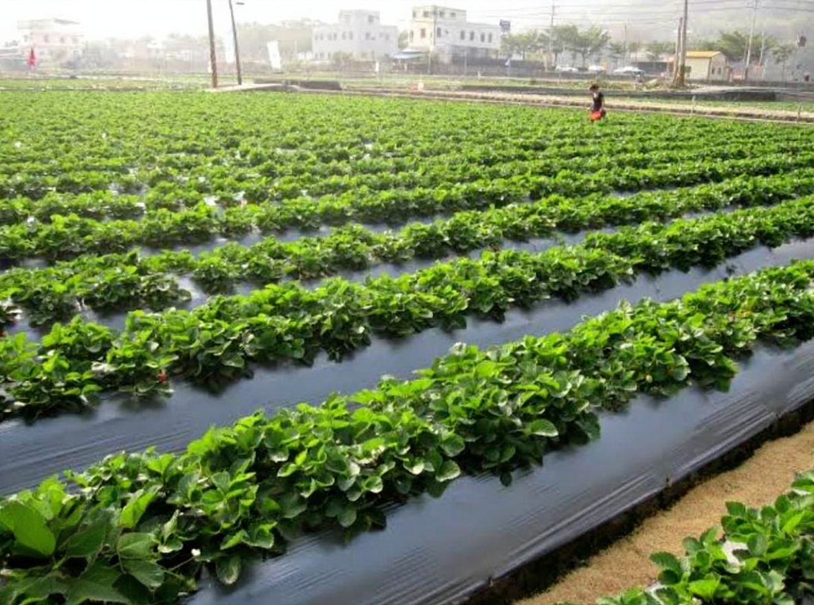 Exploitation agricole